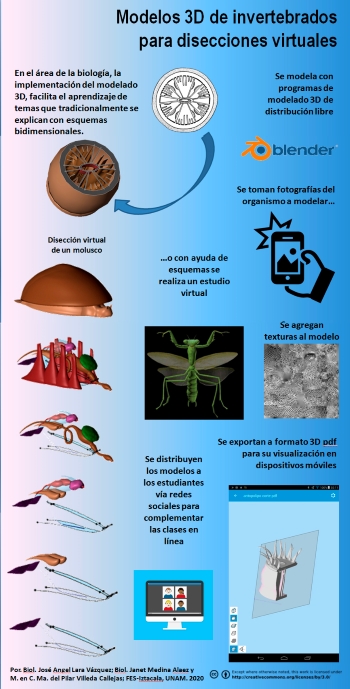 Modelos 3D de invertebrados para disecciones virtuales